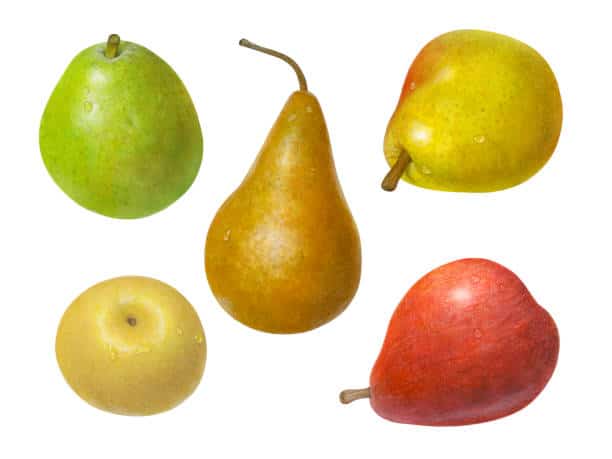 Korean pear