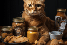 Can Cats Have Peanut Butter