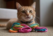 Understanding Why Cats Love Playing with Hair Ties