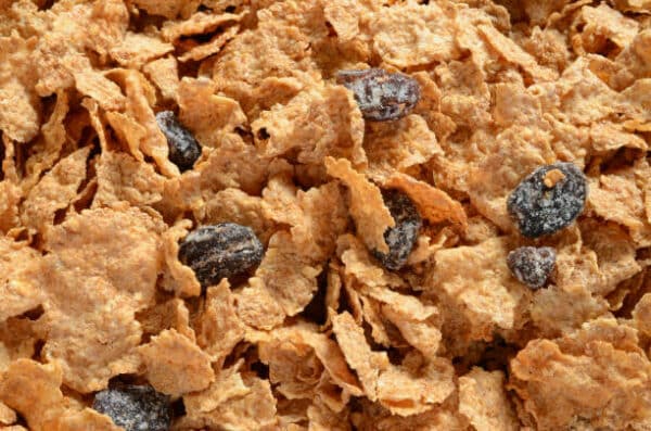 Can cats have raisin bran?