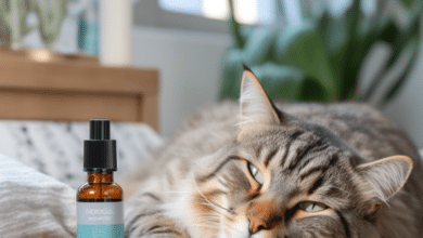 Dr. Teal's Sleep Spray safety for cats