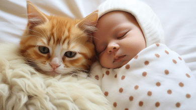 Purr-fect Harmony: Introducing Your Newborn to Your Feline Friend