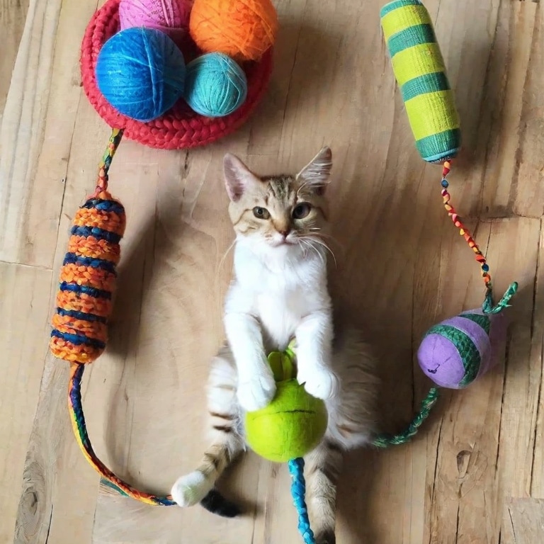 Upcycled Cat Toys: Keep Your Cat Entertained and Reduce Waste