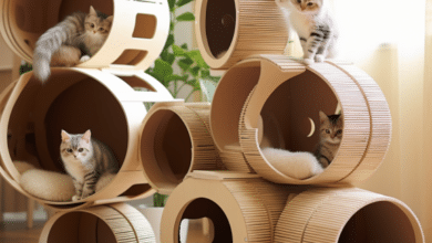 Fun DIY Cat Projects for Hours of Entertainment