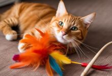 DIY Feather Toys