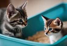 Litter Training