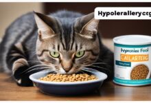 Cat Food Allergies