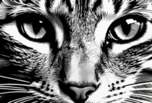 poetry cat