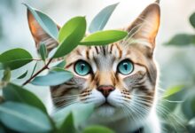 is eucalyptus safe for cats