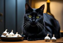 is garlic safe for cats