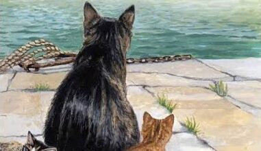 The Cat Who Predicted the Titanic’s Fate? The Heartwarming Story of Jenny