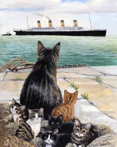 The Cat Who Predicted the Titanic’s Fate? The Heartwarming Story of Jenny